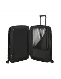 126035 proxis P  SAM 2